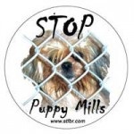 Stop Puppy Mills Magnet