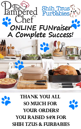 Pampered Chef Success Final Shih Tzus Furbabiesshih Tzus Furbabies